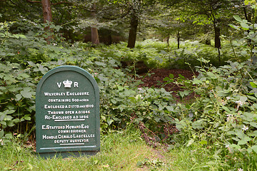 Image showing Wilverley Enclosure in the New Forest, Hampshire, UK