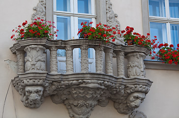 Image showing Lviv, two windows