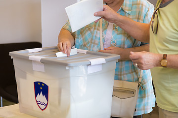 Image showing Citizens voting on democratic election.