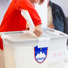 Image showing Citizens voting on democratic election.