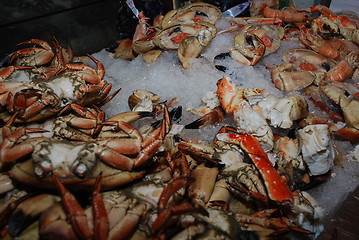 Image showing Crabs