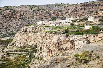 Image showing Oman Saiq Plateau