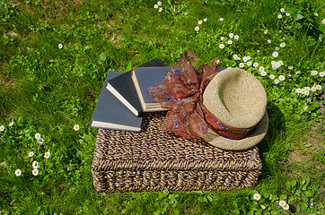 Image showing Wicker basket full of books and retro hat on grass 