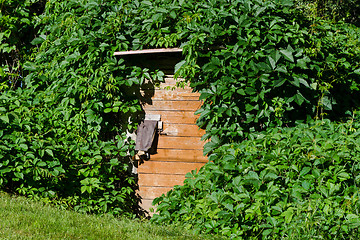 Image showing wooden cellar door with overgrown creepers village 