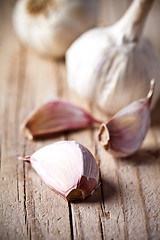 Image showing fresh garlic