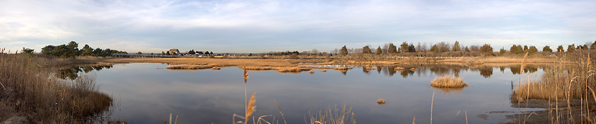 Image showing Hammonasset Beach Marsh Panorama