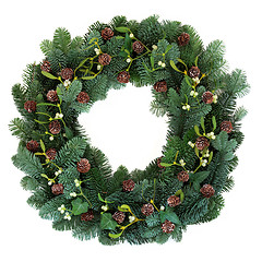 Image showing Winter Wreath