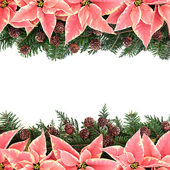 Image showing Poinsettia Flower Frame