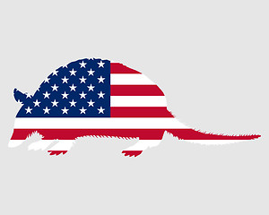 Image showing Armadillo United States of America