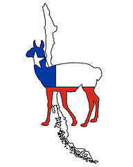 Image showing Guanaco Chile