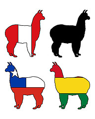 Image showing Alpaca flags