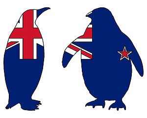 Image showing Penguin New Zealand