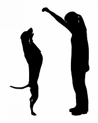 Image showing Dog training (obedience): command: up