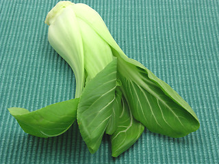 Image showing Pak choi on a dark green background