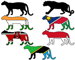 Image showing Leopards flags