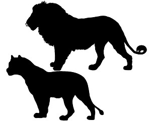 Image showing Lions silhouette