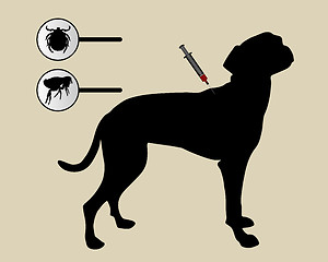 Image showing Dog gets an inoculation against fleas and ticks on white