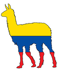 Image showing Lama Ecuador 