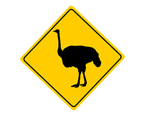 Image showing Ostrich warning sign