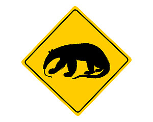 Image showing Anteater warning sign