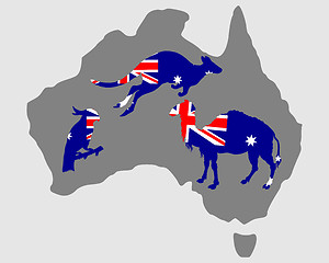 Image showing Australian animals