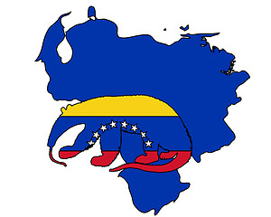 Image showing Anteater  Venezuela 