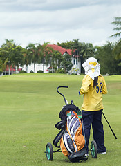 Image showing Colf caddie on the fairway