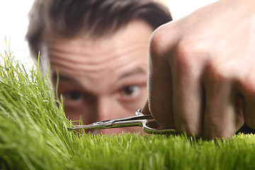 Image showing Young man cuts English lawn 