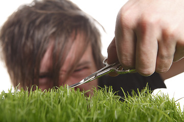 Image showing Young man cuts English lawn 