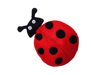 Image showing Ladybug