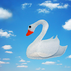 Image showing Swan 