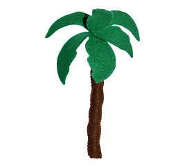 Image showing Palm tree