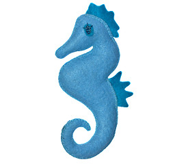 Image showing Sea horse