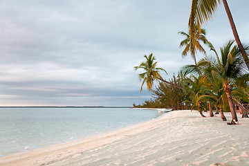 Image showing tropical beach with palm trees