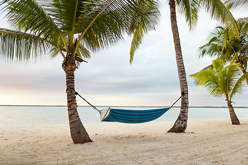 Image showing hammock on tropical beach