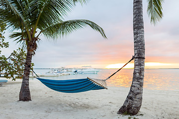 Image showing hammock on tropical beach