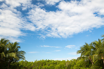 Image showing green forest and cloudy blue sky