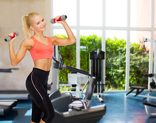 Image showing smiling beautiful sporty woman with dumbbells