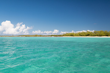 Image showing blue sea or ocean, beach and forest