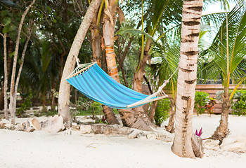 Image showing hammock on tropical beach