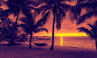 Image showing palm trees and hammock on tropical beach