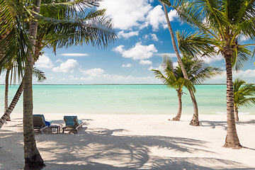 Image showing tropical beach with palm trees