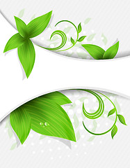 Image showing Abstract background with leaves