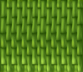 Image showing Bamboo texture