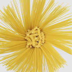 Image showing radial spaghetti and rotini