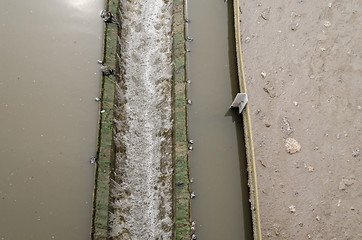 Image showing closeup radial settler at wastewater water treat 