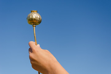 Image showing female hand hold gold poppy on blue sky background 