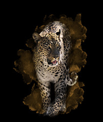 Image showing Watercolor Image Of  Leopard 