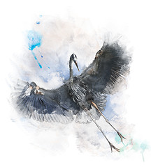 Image showing Watercolor Image Of  Great Blue Heron 