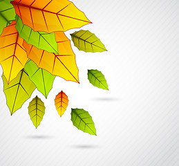 Image showing Background with colorful leaves